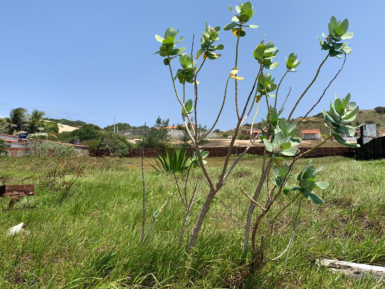 Terreno Búzios - Vista 2